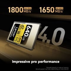 Lexar 640GB Professional Gold CFexpress 4.0 Type A Hafıza Kartı