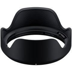 Tamron 28-200mm f/2.8-5.6 Di III RXD Lens (Sony E Mount)