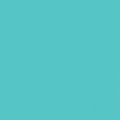 GDX Seyyar Kağıt Sonsuz Stüdyo Fon Perde (Baby Blue) 2.70x11 Metre